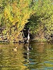 photo thumbnail #13