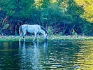 photo thumbnail #11