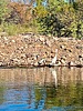 photo thumbnail #15