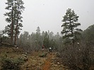 photo thumbnail #1