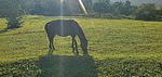 photo thumbnail #14