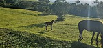 photo thumbnail #15