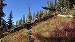 photo thumbnail #2