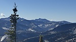 photo of comment