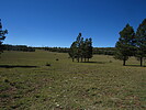 photo thumbnail #14