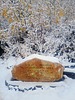 photo thumbnail #1