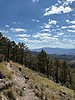 photo thumbnail #8