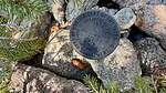 photo thumbnail #7