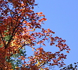 photo thumbnail #14