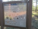 photo thumbnail #15