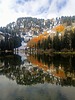 photo thumbnail #6