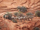2025-09-30 :2: Coyote Buttes North - Wire Pass TH :: John10s