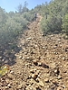 photo of comment