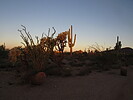 photo thumbnail #2