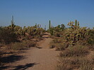 photo thumbnail #5