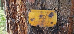 photo thumbnail #12