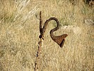 photo thumbnail #11