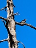 photo thumbnail #15