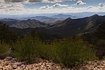 photo thumbnail #8