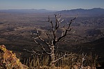 photo thumbnail #14