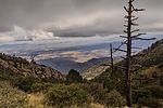 photo thumbnail #6