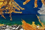 photo thumbnail #9