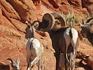 2025-10-02 :2: Coyote Buttes South :: John10s