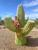 photo thumbnail #5