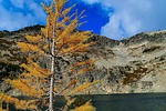 photo thumbnail #10