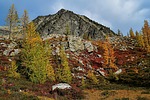 photo thumbnail #9