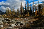 photo thumbnail #15