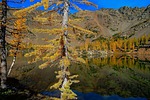 photo thumbnail #12