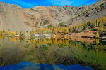photo thumbnail #13