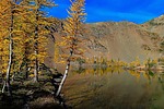 photo thumbnail #15