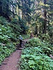 photo thumbnail #11