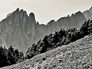 photo thumbnail #14