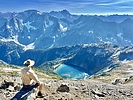 photo thumbnail #15