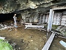 recent photo