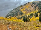 photo thumbnail #8