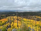 photo thumbnail #4