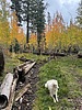 photo thumbnail #7