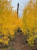 photo thumbnail #10