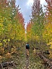 photo thumbnail #9