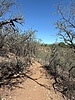photo thumbnail #6