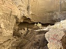photo thumbnail #13