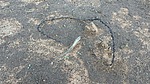 photo thumbnail #6