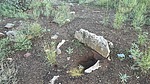 photo thumbnail #7