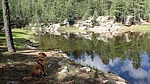 photo thumbnail #1