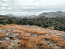 photo thumbnail #5