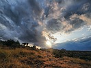 photo thumbnail #12